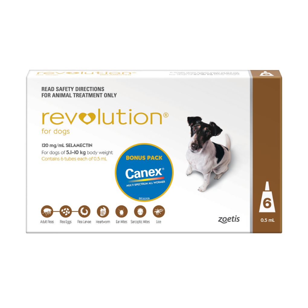 Revolution for Dogs 5-10kg 6 Pack - RSPCA VIC
