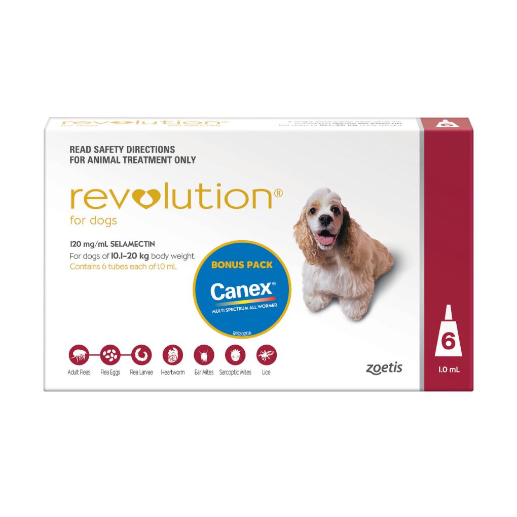 Revolution for Dogs 10-20kgs 6 Pack - RSPCA VIC