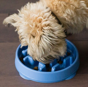Outward Hound Slow Feeder Dog Bowl Blue - RSPCA VIC