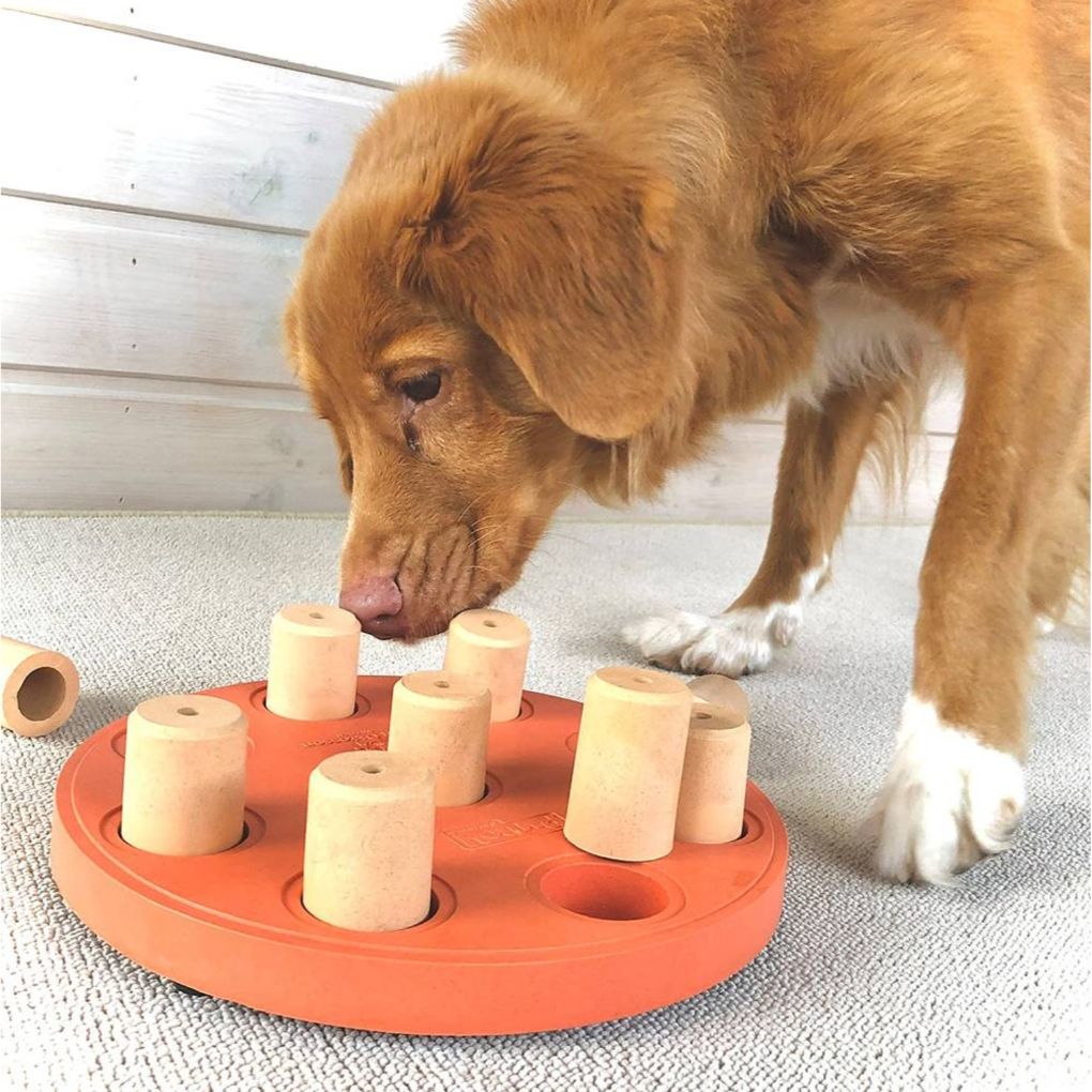 Nina Ottosson Dog Enrichment Toy Smart Composite - Orange - RSPCA VIC