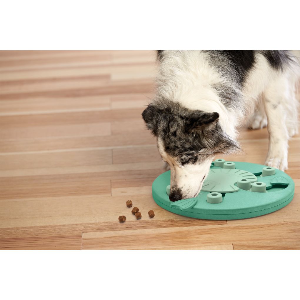 Nina Ottosson Dog Worker Enrichment Puzzle Toy - Green - RSPCA VIC