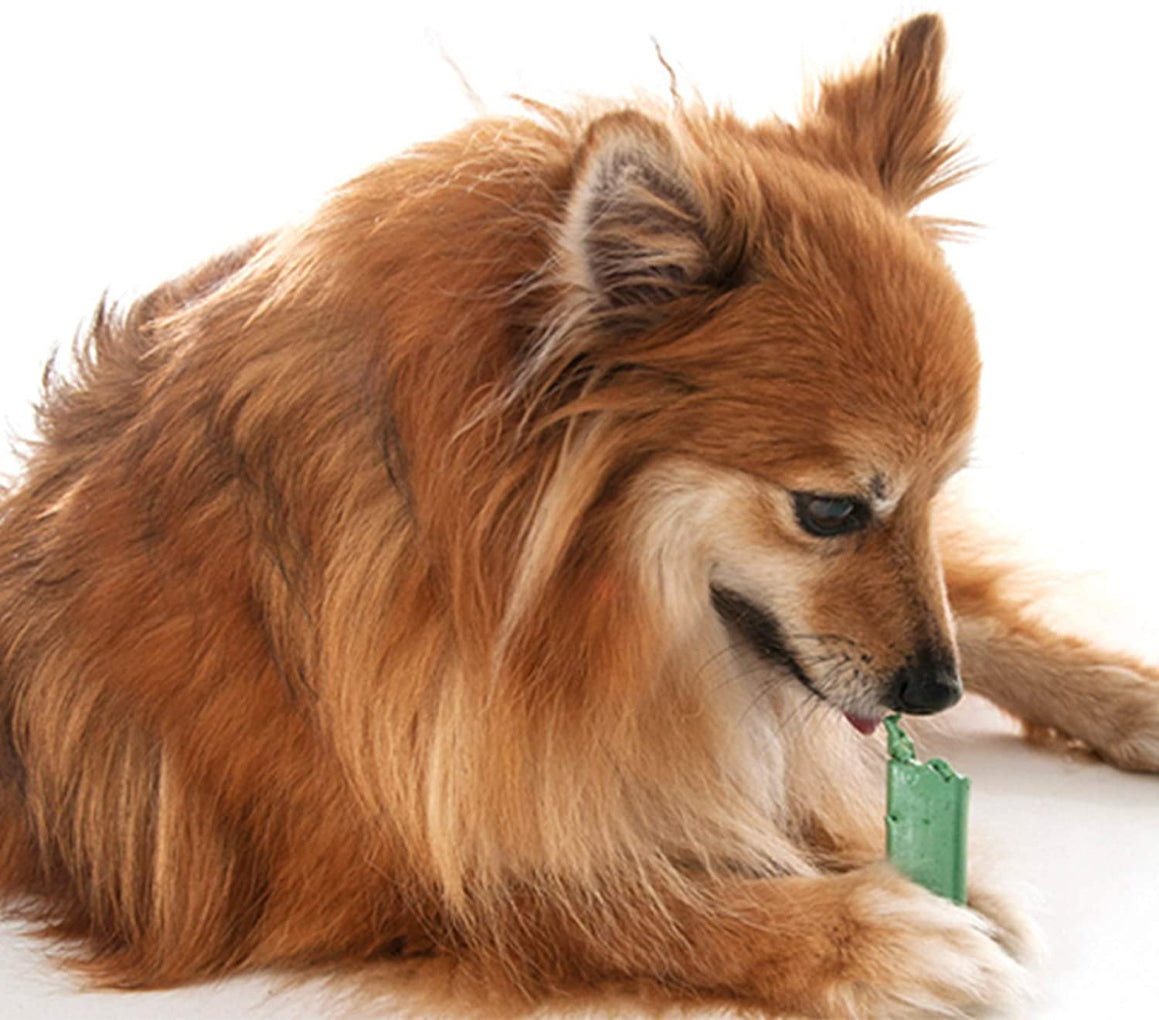 OraVet Dental Hygiene Chew for X-Small Dogs, Dental Treats for Dogs, 28 Counts/Days - RSPCA VIC