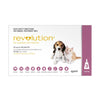 Revolution for Puppy and Kitten 3 Pack - RSPCA VIC