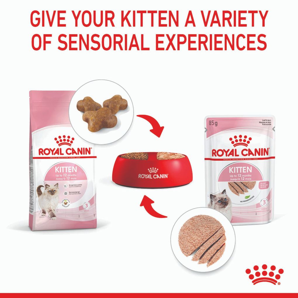 Royal Canin Kitten Loaf Pouches - RSPCA VIC
