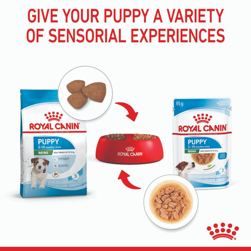 Royal Canin Mini Puppy Pouches - RSPCA VIC