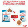 Royal Canin Maxi Puppy Pouches - RSPCA VIC