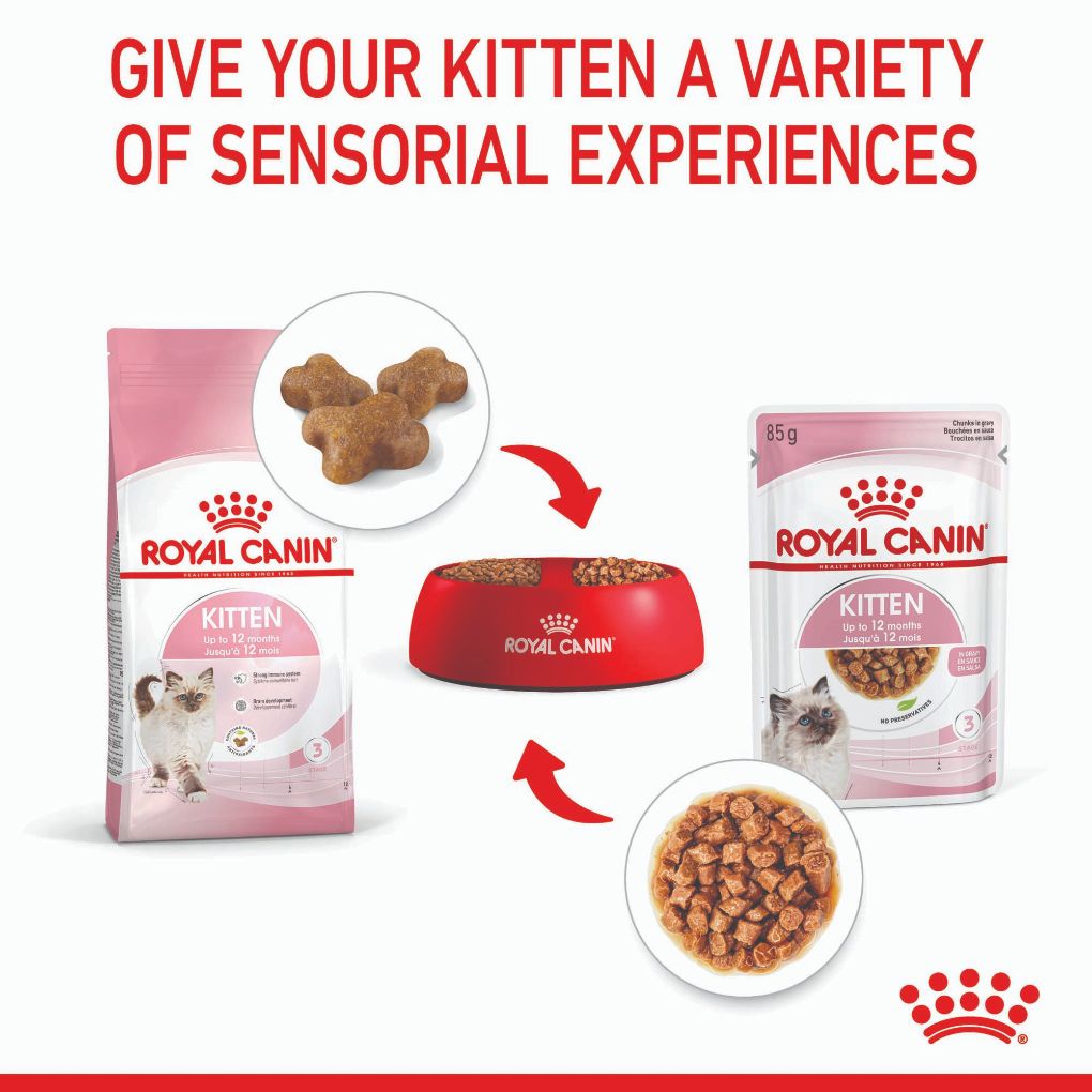 Royal Canin Kitten Gravy Pouches - RSPCA VIC
