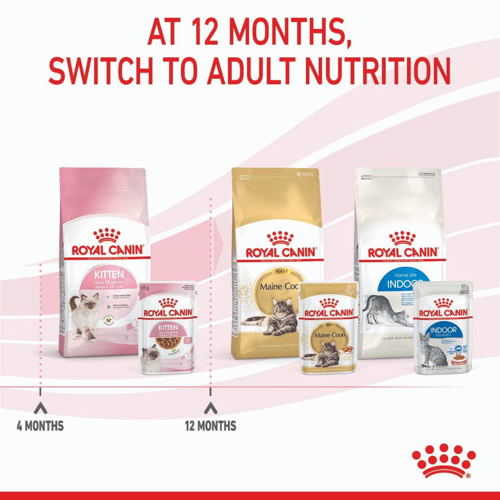 Royal Canin Kitten Gravy Pouches - RSPCA VIC