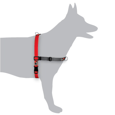 Black Dog Wear Balance Harness Large - RSPCA VIC