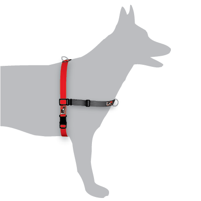 Dog Harnesses RSPCA VIC