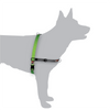 Black Dog Wear Balance Harness Medium - RSPCA VIC