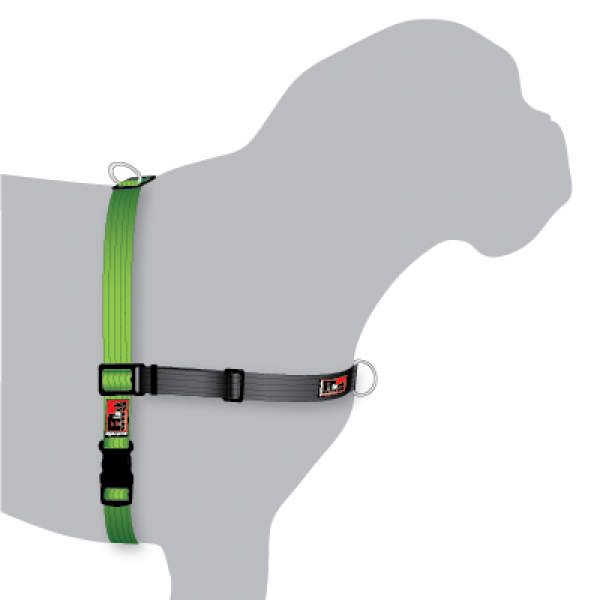 Black dog shop wear harness