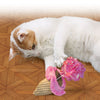 KONG Cracklez Scoopz Treat Dispensing Cat Toy - RSPCA VIC