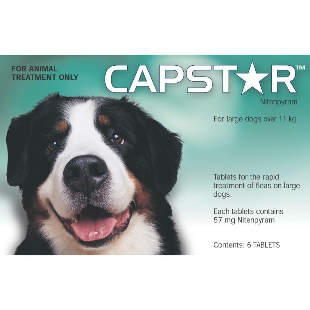 Capstar treatment hot sale