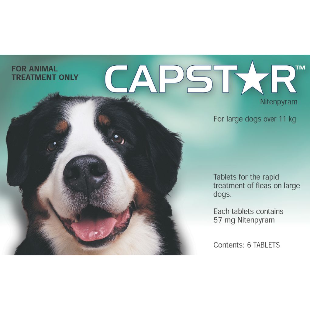 Capstar Flea Control for dogs over 11kg