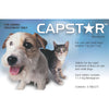 Capstar Flea Control for Cats and Small Dogs up to 11kg
