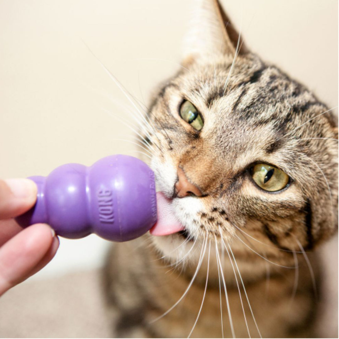 KONG Kitty Kong - RSPCA VIC