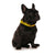 Friendly Dog Collars - NERVOUS - S/M Clip Collar - RSPCA VIC