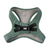 Fuzzyard Life Step In Dog Harness Myrtle Green - RSPCA VIC
