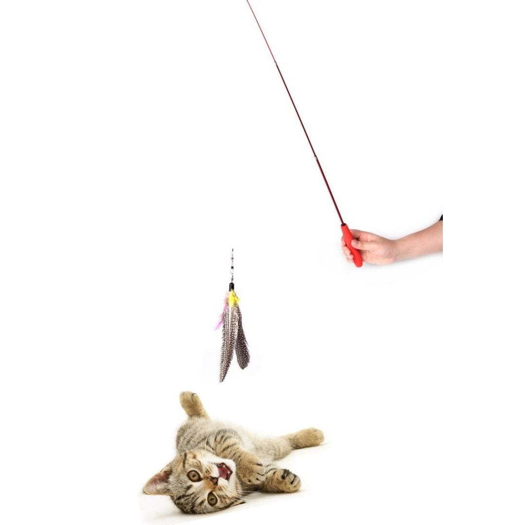 Go Cat Da Bird Pull-Apart Wand Cat Feather Teaser Cat Toy - RSPCA VIC