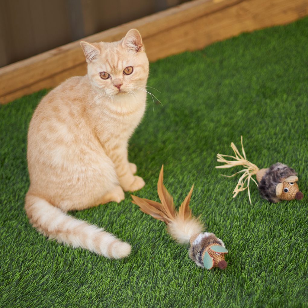 Scruffies toy cat sales