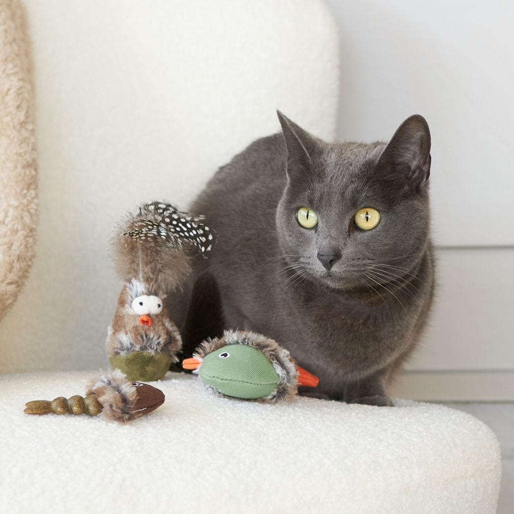 Kazoo Squishy Fish Cat Toy - RSPCA VIC