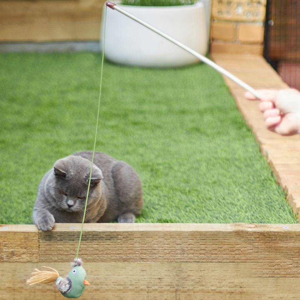 Kazoo Fantail Bird Wand Cat Toy - RSPCA VIC