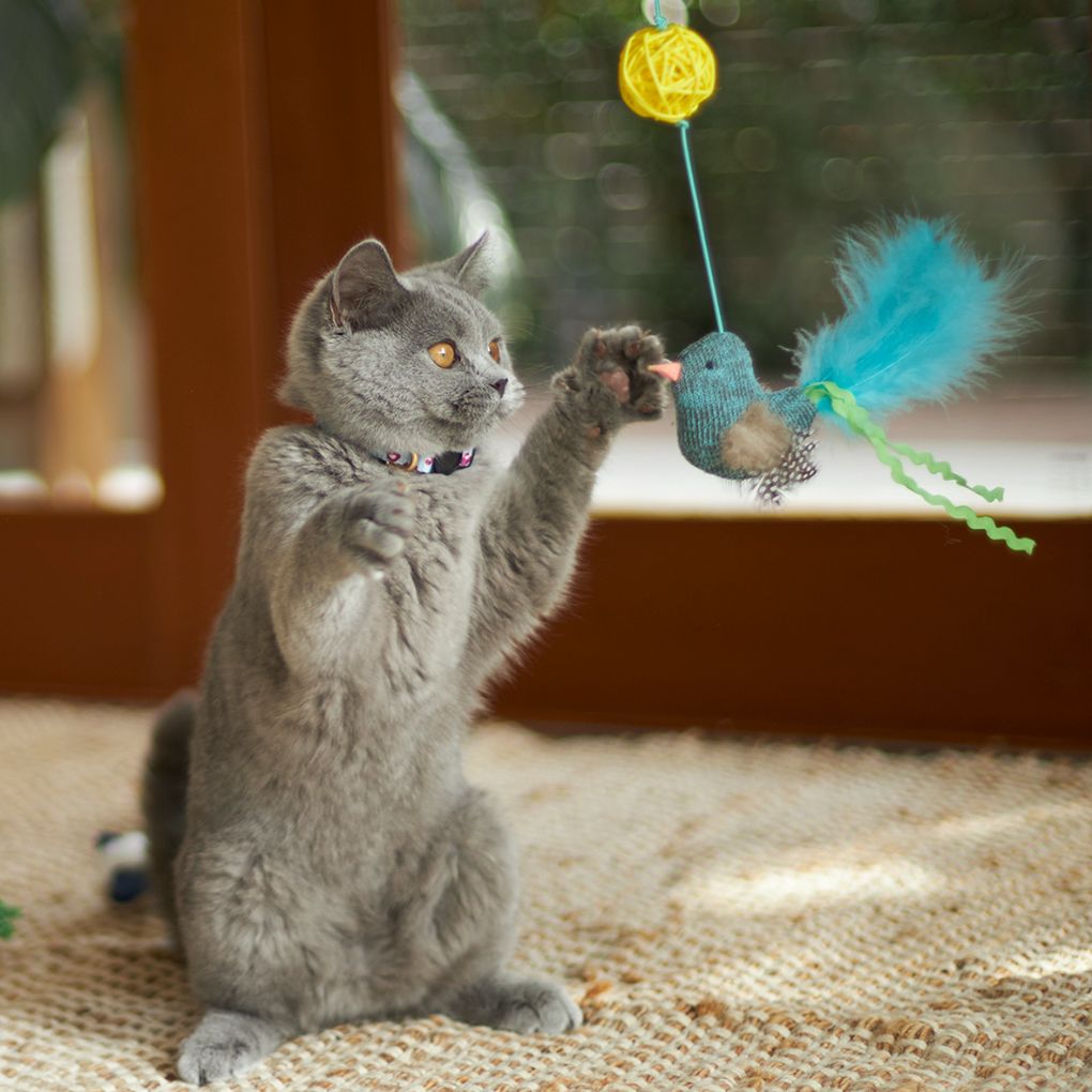 Kazoo Bluebird Wand Cat Toy - RSPCA VIC