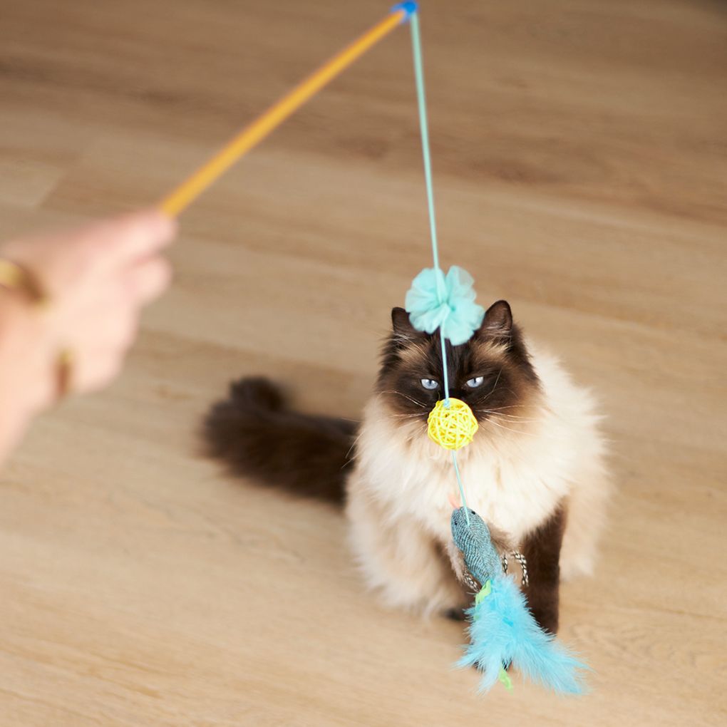 Kazoo Bluebird Wand Cat Toy - RSPCA VIC