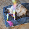Kazoo Fluffy Rainbow Tail Cat Toy - RSPCA VIC