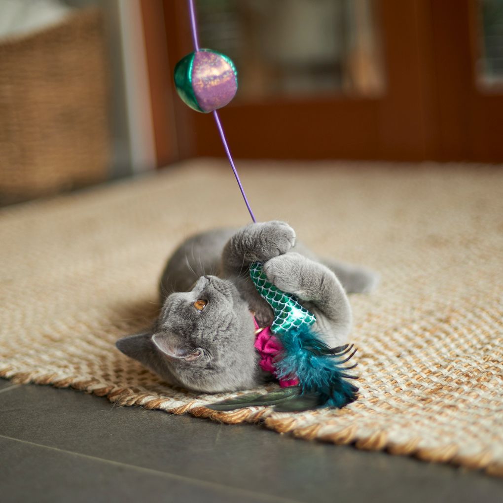 Kazoo Ripple Fish Wand Cat Toy - RSPCA VIC