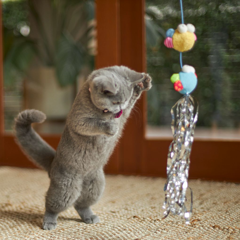 Kazoo Butterfly High Wand Cat Toy - RSPCA VIC