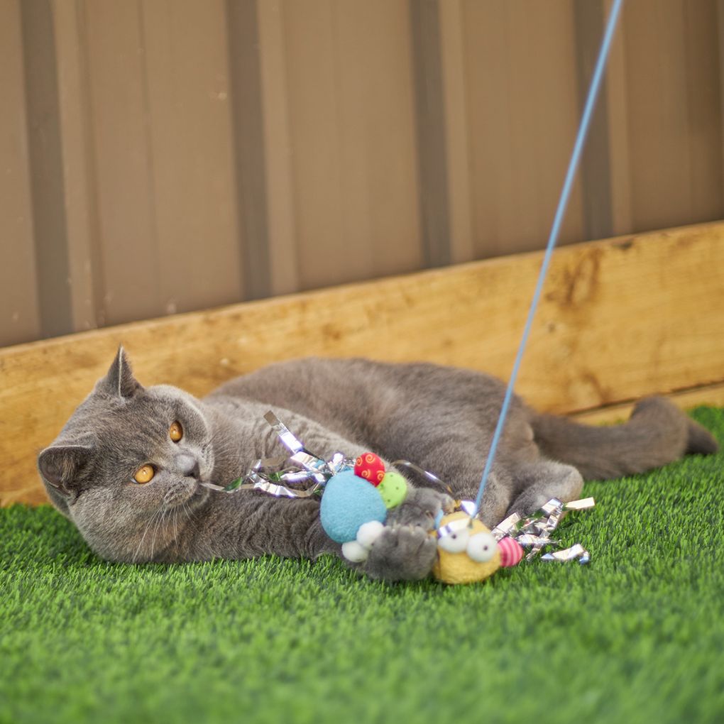 Butterfly cat 2025 toy wand