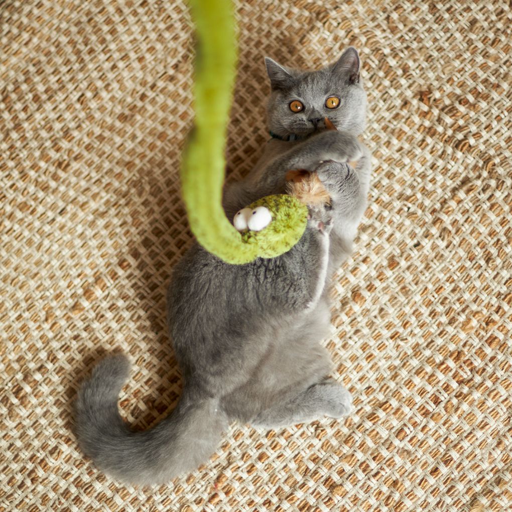 Kazoo Spotty Snake Wand Cat Toy - RSPCA VIC