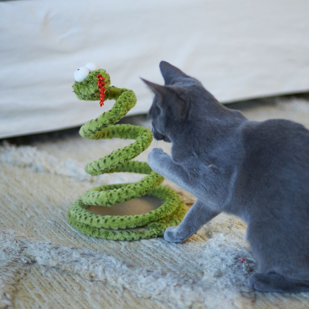 Kazoo Springy Snake Cat Toy - RSPCA VIC
