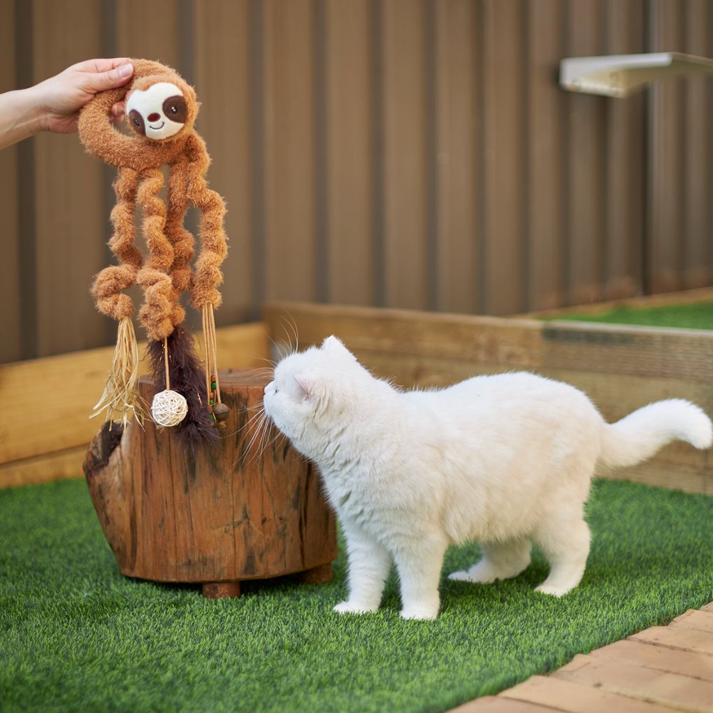 Sloth cat toy cheap