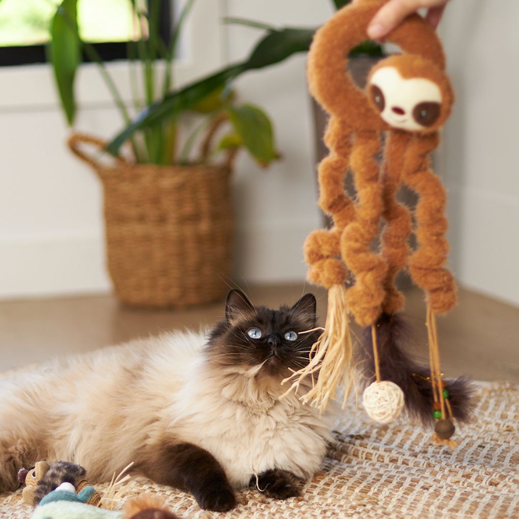 Kazoo Long Legged Sloth Cat Toy - RSPCA VIC
