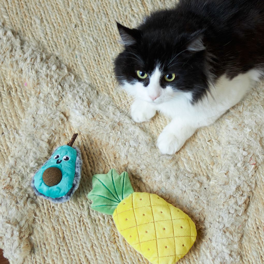 Kazoo Crinkly Pineapple Cat Toy - RSPCA VIC