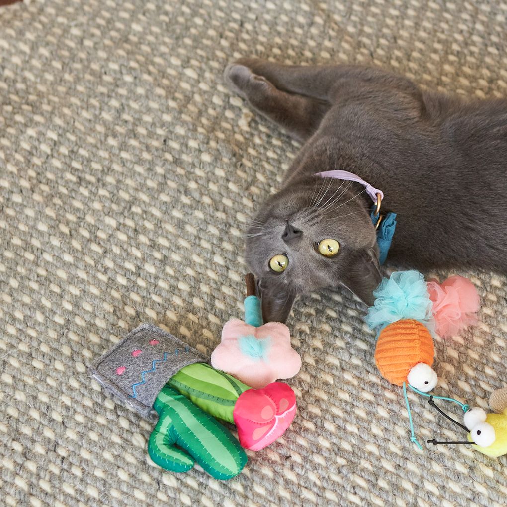 Kazoo Cactus Garden Cat Toy - RSPCA VIC