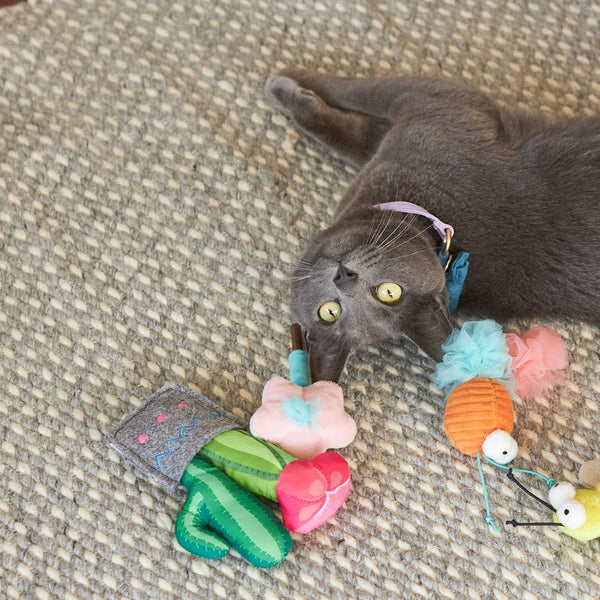 Kazoo Cactus Garden Cat Toy RSPCA VIC