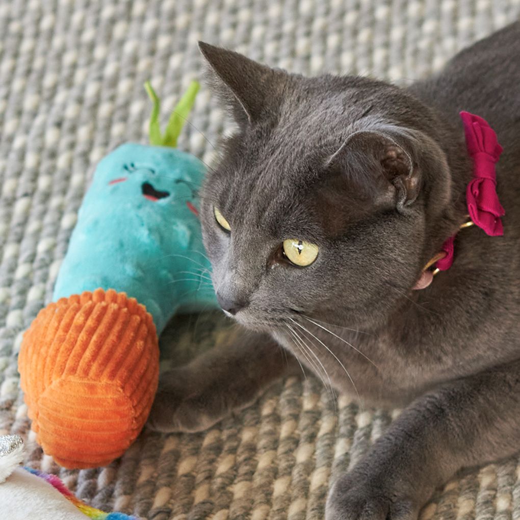 Kazoo Cactus Kicker Cat Toy RSPCA VIC