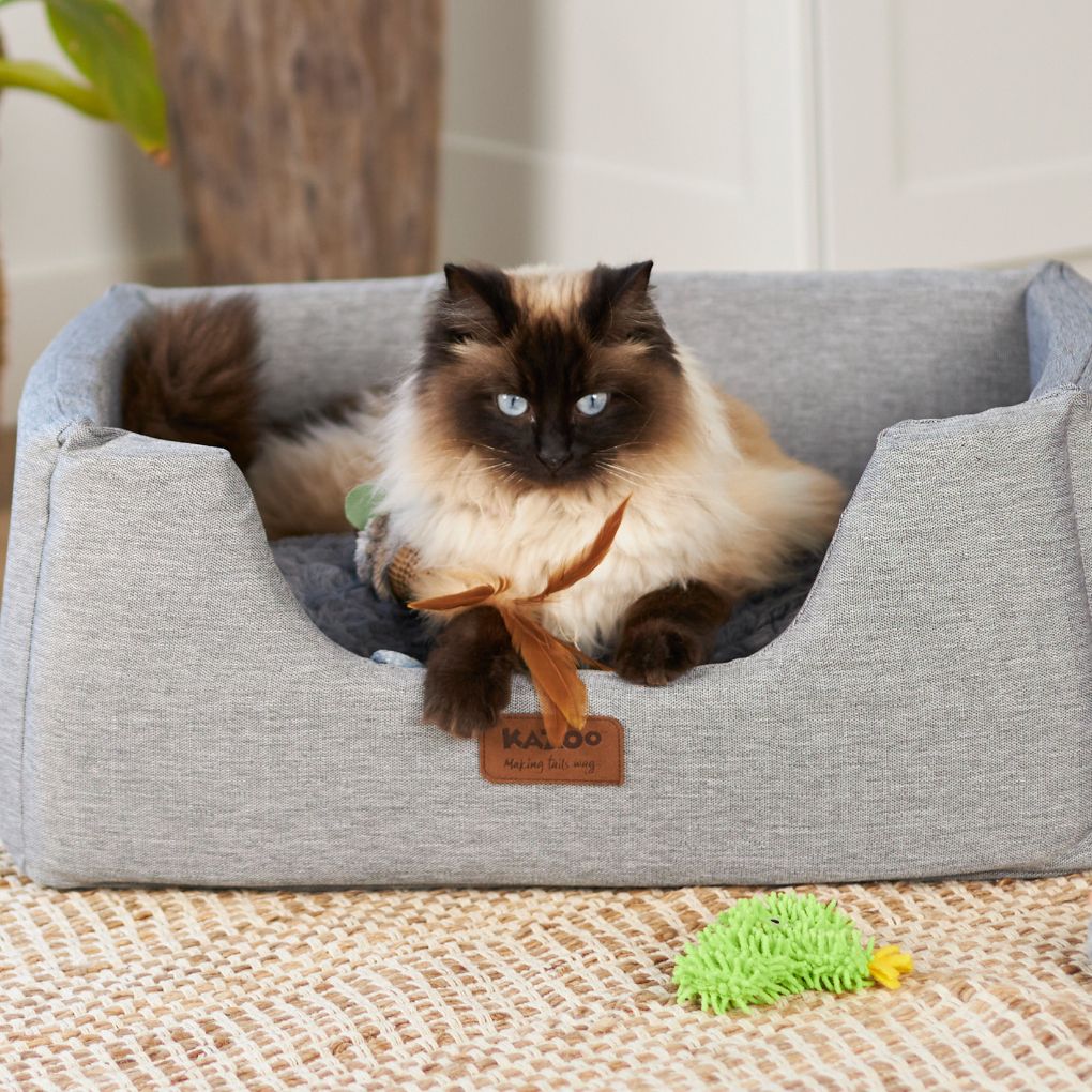 Kazoo Scruffy Cactus Cat Toy - RSPCA VIC