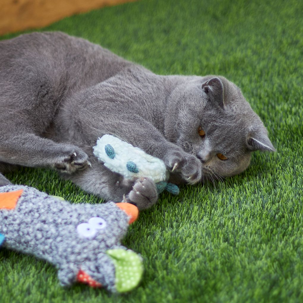 Kazoo Squinty Sheep Cat Toy - RSPCA VIC