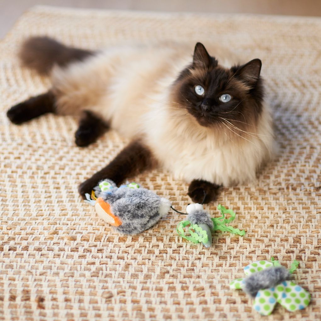 Kazoo Flutterby Cat Toy - RSPCA VIC