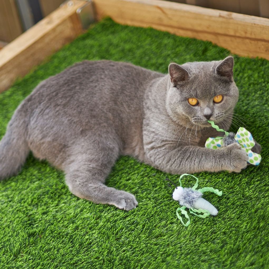Kazoo Flutterby Cat Toy - RSPCA VIC