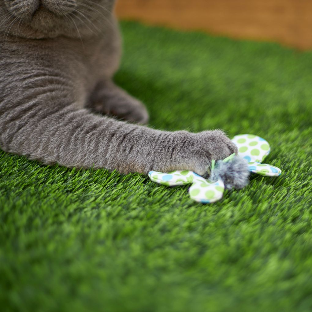 Kazoo Flutterby Cat Toy - RSPCA VIC