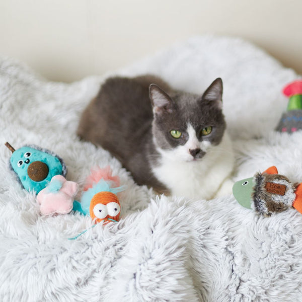 Cat store garden toys
