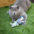 Kazoo Grumpy Rabbit Cat Toy - RSPCA VIC