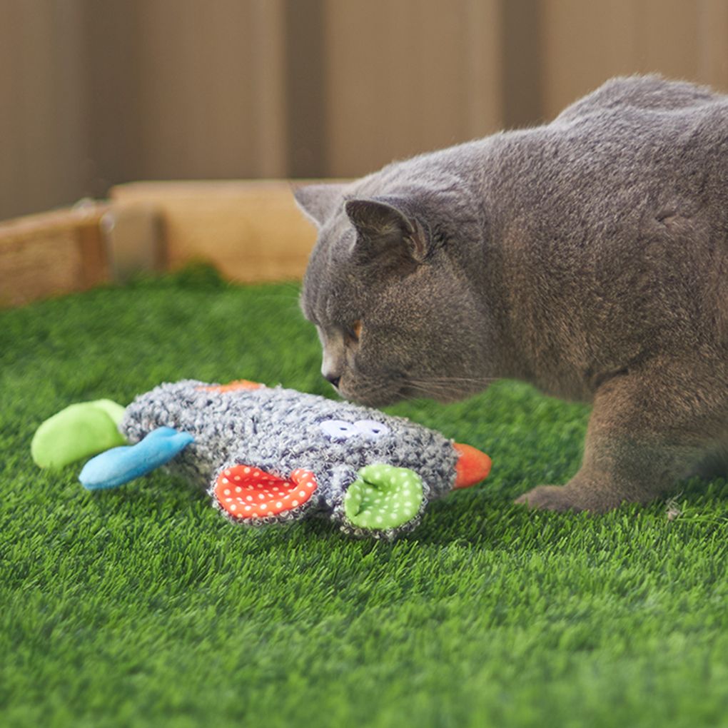 Cat toys for sale discount