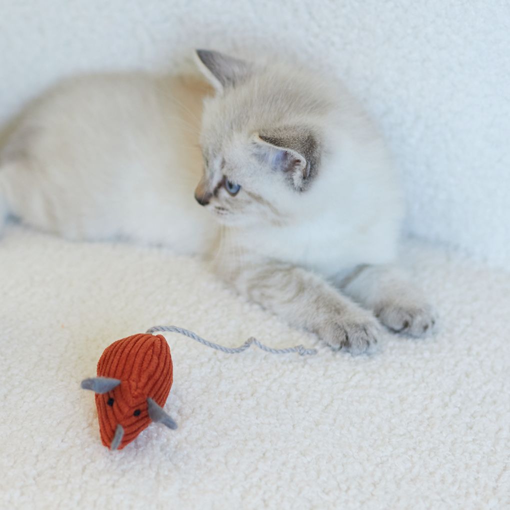 Kazoo Thrice the Mice Cat Toy - RSPCA VIC